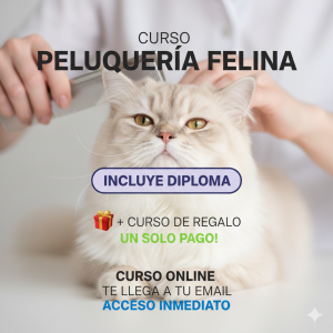 Peluquería Felina como Negocio: Genera Ingresos Rápidos