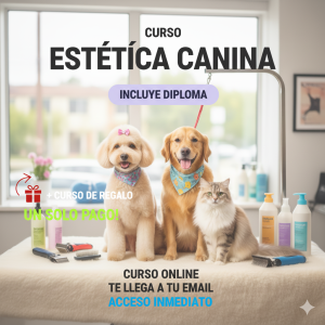 Curso Peluquería Canina