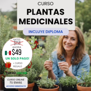 Curso Plantas Medicinales [2026]
