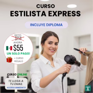 Curso Estilista Express - De Cero a tus Primeros Clientes en 20 días